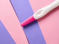 Condicionantes de la infertilidad femenina actual